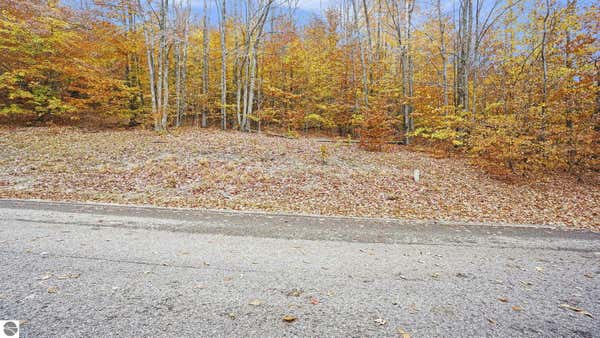 LOT 12 MOUNTAIN WOODS DRIVE, THOMPSONVILLE, MI 49683 - Image 1