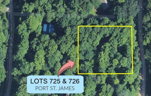 TBD TAMARACK TRAIL # LOTS 725 & 726, BEAVER ISLAND, MI 49782 - Image 1