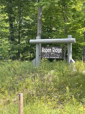 LOT 11 ASPEN RIDGE COURT, BOYNE CITY, MI 49712, photo 4 of 8