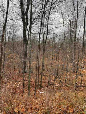 LOT 11 ASPEN RIDGE COURT, BOYNE CITY, MI 49712, photo 2 of 8