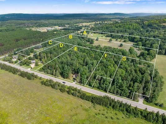 TBD THUMB LAKE ROAD # PARCEL 1, BOYNE FALLS, MI 49713, photo 3 of 10