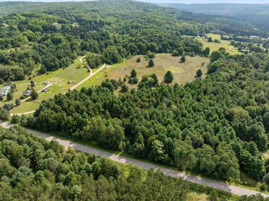 TBD THUMB LAKE ROAD # PARCEL 1, BOYNE FALLS, MI 49713, photo 2 of 10