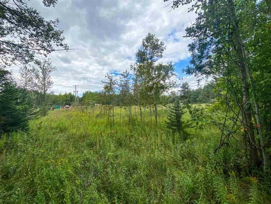 8425 S US 31 HWY # PARCEL, ALANSON, MI 49706, photo 5 of 8