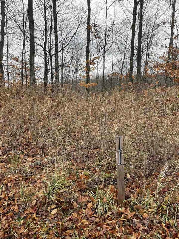 LOT 11 ASPEN RIDGE COURT, BOYNE CITY, MI 49712, photo 1 of 8