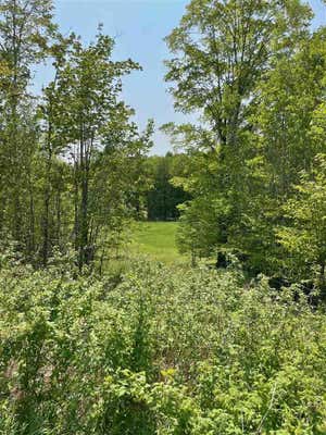 LOT 15 ASPEN RIDGE COURT, BOYNE CITY, MI 49712 - Image 1