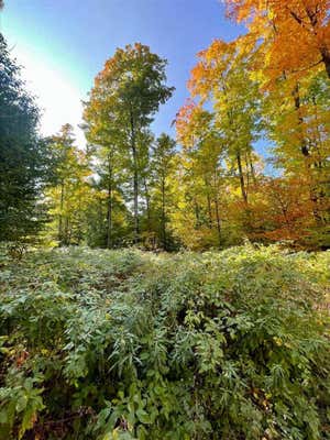 LOT 7 HIGH PINES TRAIL, BOYNE CITY, MI 49712 - Image 1