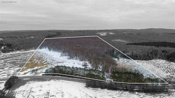 TBD S STATE ROAD, HARBOR SPRINGS, MI 49740 - Image 1