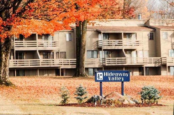 1185 HIDEAWAY VALLEY DR UNIT 5, HARBOR SPRINGS, MI 49740 - Image 1