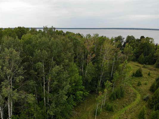 TBD BLUFFS HIGHWAY, ONAWAY, MI 49765 - Image 1