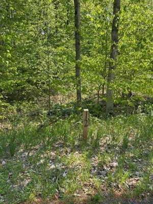 LOT 12 ASPEN RIDGE COURT, BOYNE CITY, MI 49712 - Image 1