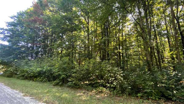 LOT 466 NORTHWOOD DRIVE # 466, ELMIRA, MI 49730 - Image 1