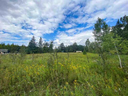 8425 S US 31 HWY # PARCEL, ALANSON, MI 49706, photo 3 of 8