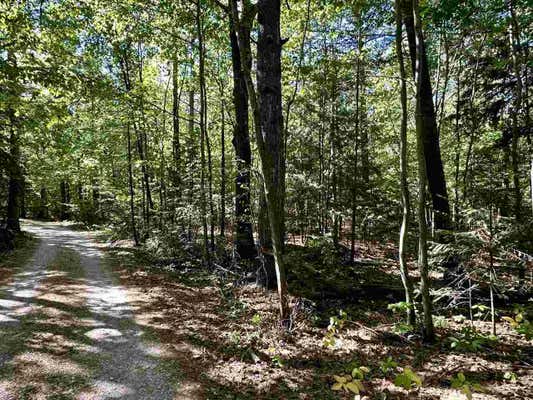 TBD LOOKOUT DRIVE # LOT 31, BEAVER ISLAND, MI 49782 - Image 1