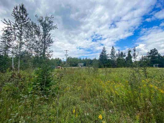 8425 S US 31 HWY # PARCEL, ALANSON, MI 49706, photo 4 of 8