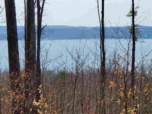 LOT 4 RUBY LANE, BOYNE CITY, MI 49712 - Image 1