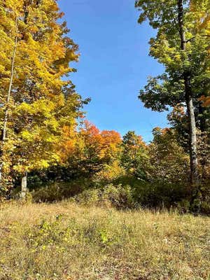 LOT 10 HIGH PINES TRAIL, BOYNE CITY, MI 49712 - Image 1