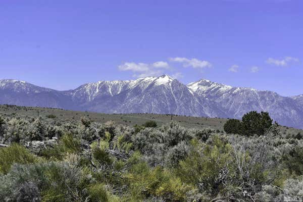 TBD HOMESTEAD, GARDNERVILLE, NV 89410 - Image 1