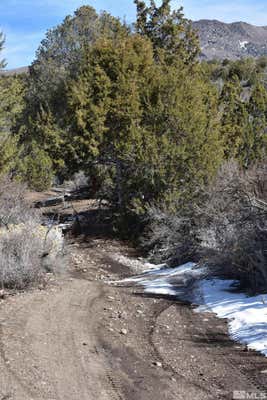 TBD SOUTH OF PINE NUT RD (18), GARDNERVILLE, NV 89410 - Image 1