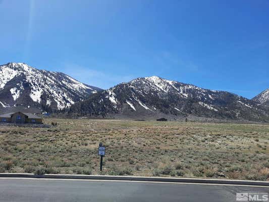 333 JAMES CANYON LOOP, GENOA, NV 89411 - Image 1