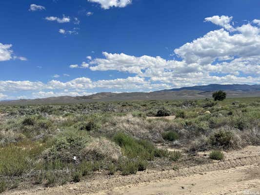 436 STATE ROUTE 338, WELLINGTON, NV 89444 - Image 1