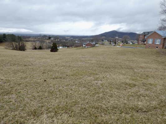 TBD LOT 9 HOLSTON ROAD, WYTHEVILLE, VA 24382, photo 4 of 6