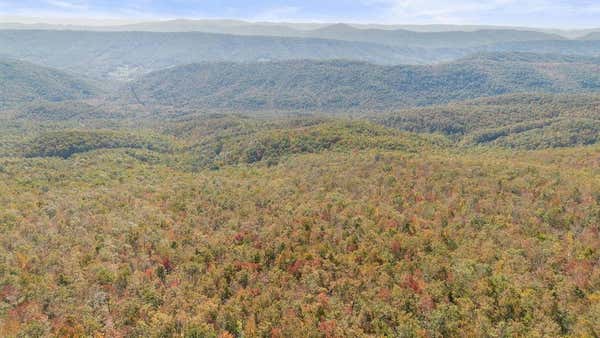 LOT 13A ONEIDA PEAK ROAD, TAZEWELL, VA 24651, photo 2 of 18