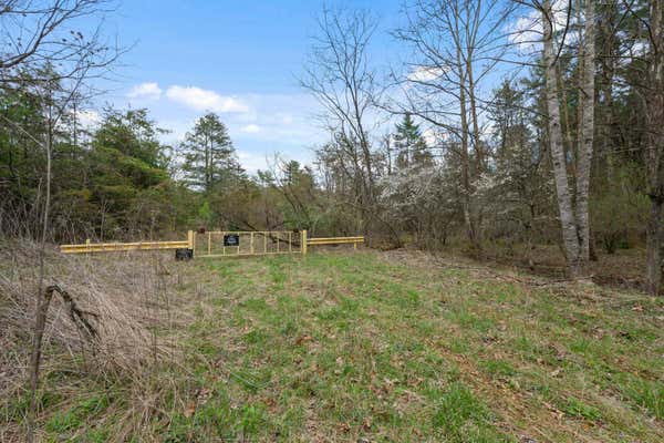 TBD COLE MOUNTAIN DRIVE, HIWASSEE, VA 24347 - Image 1