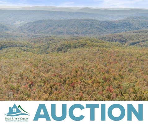 LOT 13A ONEIDA PEAK ROAD, TAZEWELL, VA 24651 - Image 1