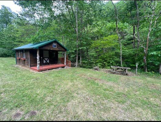 TBD BIG STONY CREEK ROAD, RIPPLEMEAD, VA 24150 - Image 1