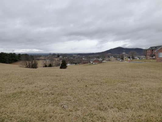 TBD LOT 9 HOLSTON ROAD, WYTHEVILLE, VA 24382, photo 3 of 6