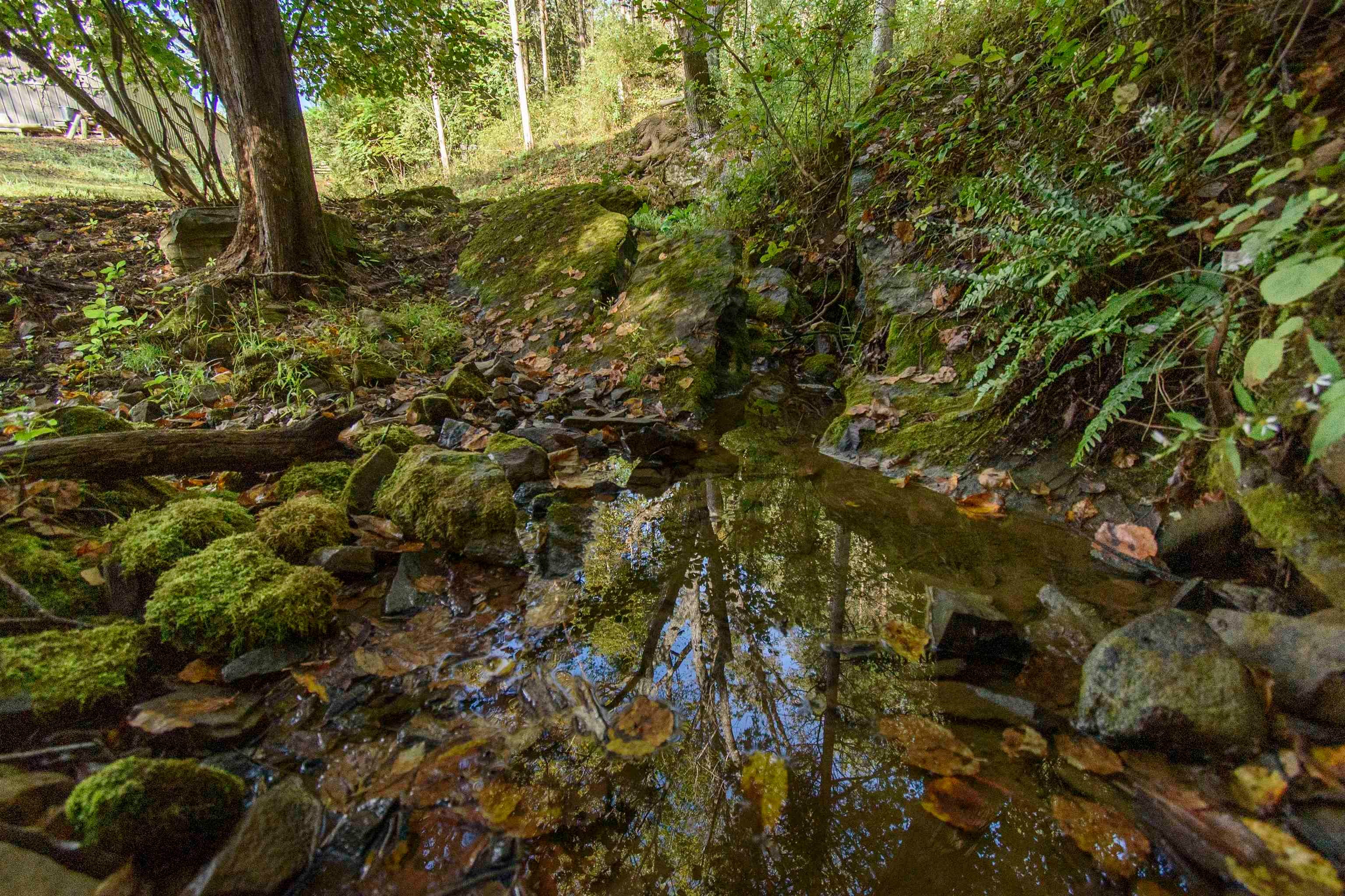 Catawba, Virginia, 24070, United States, 3 Bedrooms Bedrooms, ,3 BathroomsBathrooms,Residential,Active,1954410