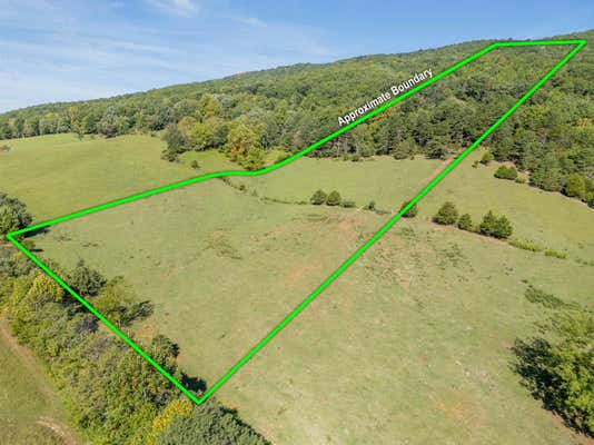 TBD 17 ACRES MOUNT TABOR RD ROAD, BLACKSBURG, VA 24060 - Image 1