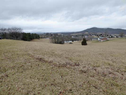 TBD LOT 11 HOLSTON ROAD, WYTHEVILLE, VA 24382 - Image 1