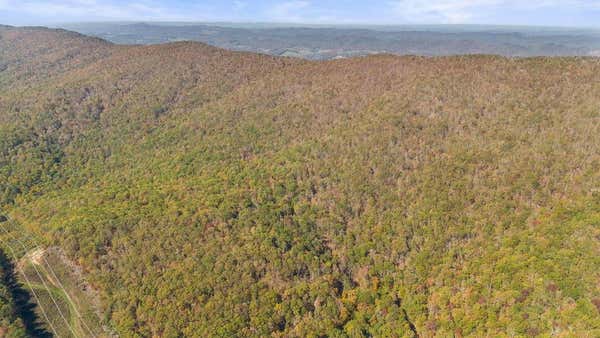 LOT 13A ONEIDA PEAK ROAD, TAZEWELL, VA 24651, photo 5 of 18