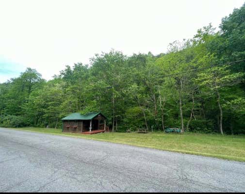 TBD BIG STONY CREEK ROAD, RIPPLEMEAD, VA 24150 - Image 1