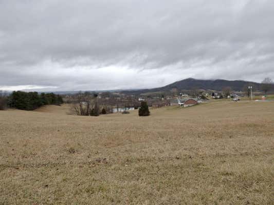 TBD LOT 10 HOLSTON ROAD, WYTHEVILLE, VA 24382 - Image 1