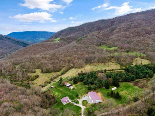 250 ROBERTSON MOUNTAIN RD, NARROWS, VA 24124 - Image 1