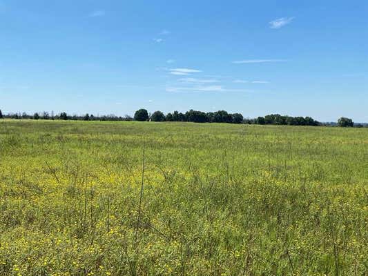 TBD CR 296, CARBON, TX 76435 - Image 1