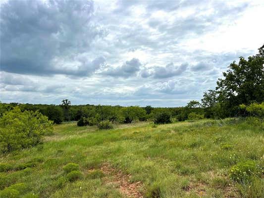 TBD WHITE WOLF COURT, MINGUS, TX 76463 - Image 1