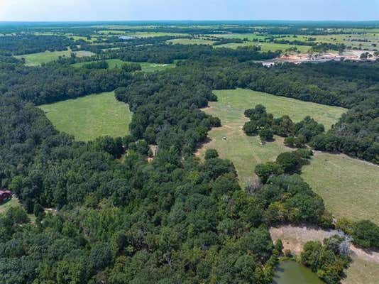 TBD VZ COUNTY ROAD 4403, BEN WHEELER, TX 75754 - Image 1