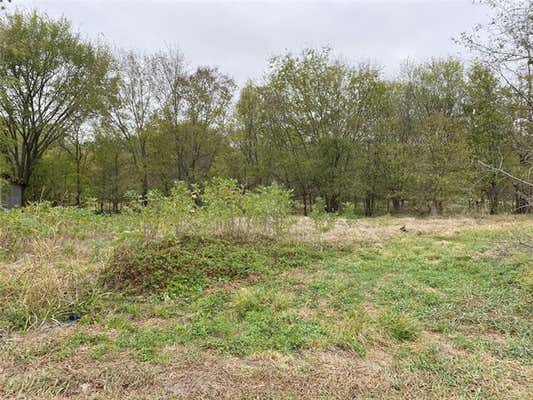 LOT 21 PECAN VALLEY ROAD, QUINLAN, TX 75474 - Image 1