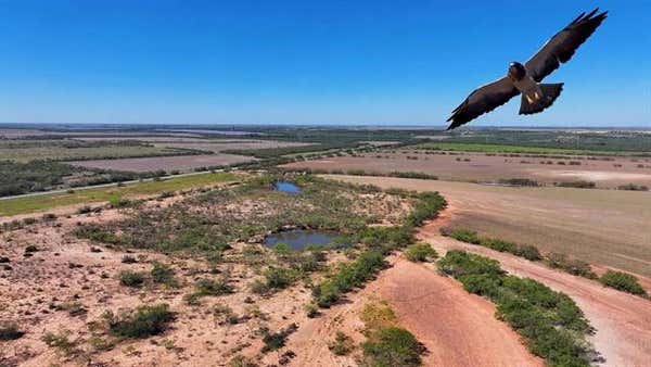 TBD 1770 FM 1770, WINTERS, TX 79567 - Image 1