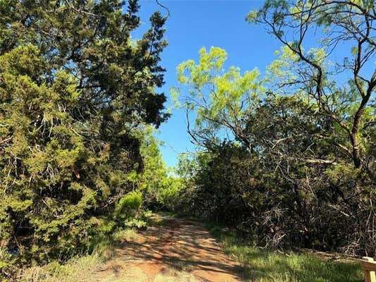 1081 DAN MOODY ST, BUFFALO GAP, TX 79508, photo 2 of 16