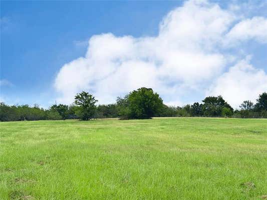 LOT 131 LAKE VISTA DRIVE, STREETMAN, TX 75859 - Image 1