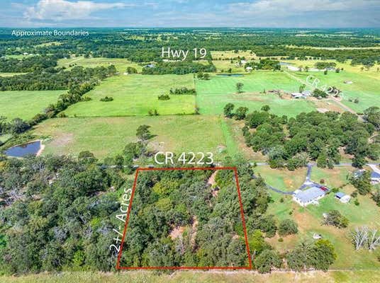 551 VZ COUNTY ROAD 4223, ATHENS, TX 75752 - Image 1