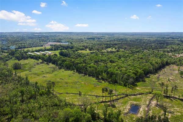 1189 LAVENDER RD, GILMER, TX 75644, photo 3 of 40