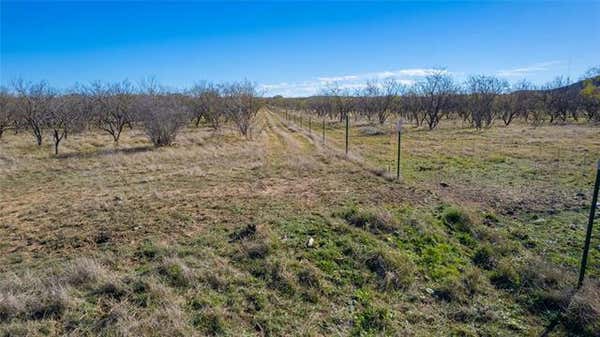 120 COUNTY ROAD 306, BRADY, TX 76825, photo 4 of 33