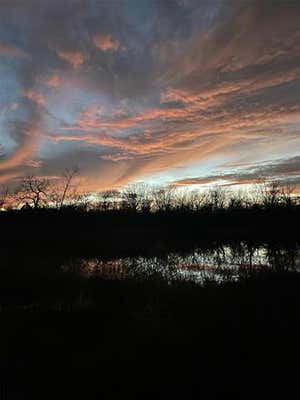 000 PR 45615, BLOSSOM, TX 75416, photo 3 of 18