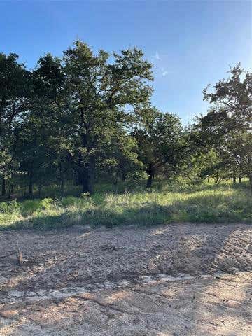 221 JIMMY LN, MILLSAP, TX 76066, photo 1