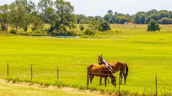 2601 COUNTY ROAD 575, GORMAN, TX 76454, photo 4 of 40